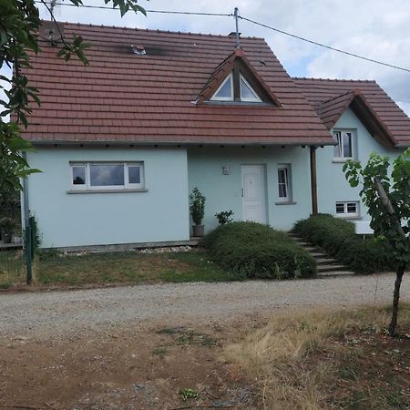 Les Cerisiers Villa Bernardswiller Ngoại thất bức ảnh