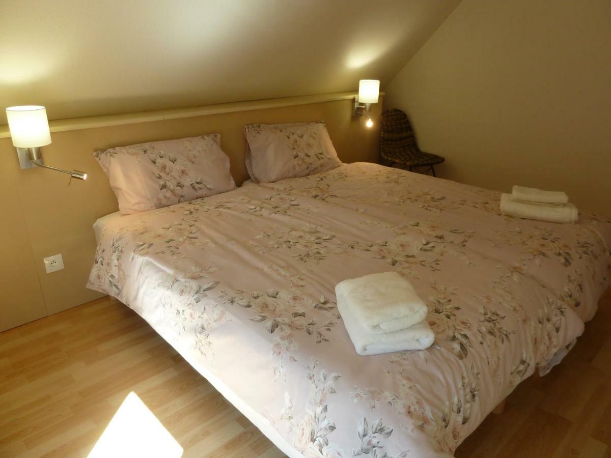 Les Cerisiers Villa Bernardswiller Ngoại thất bức ảnh